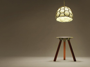 Designtree at Designmade in Wellington